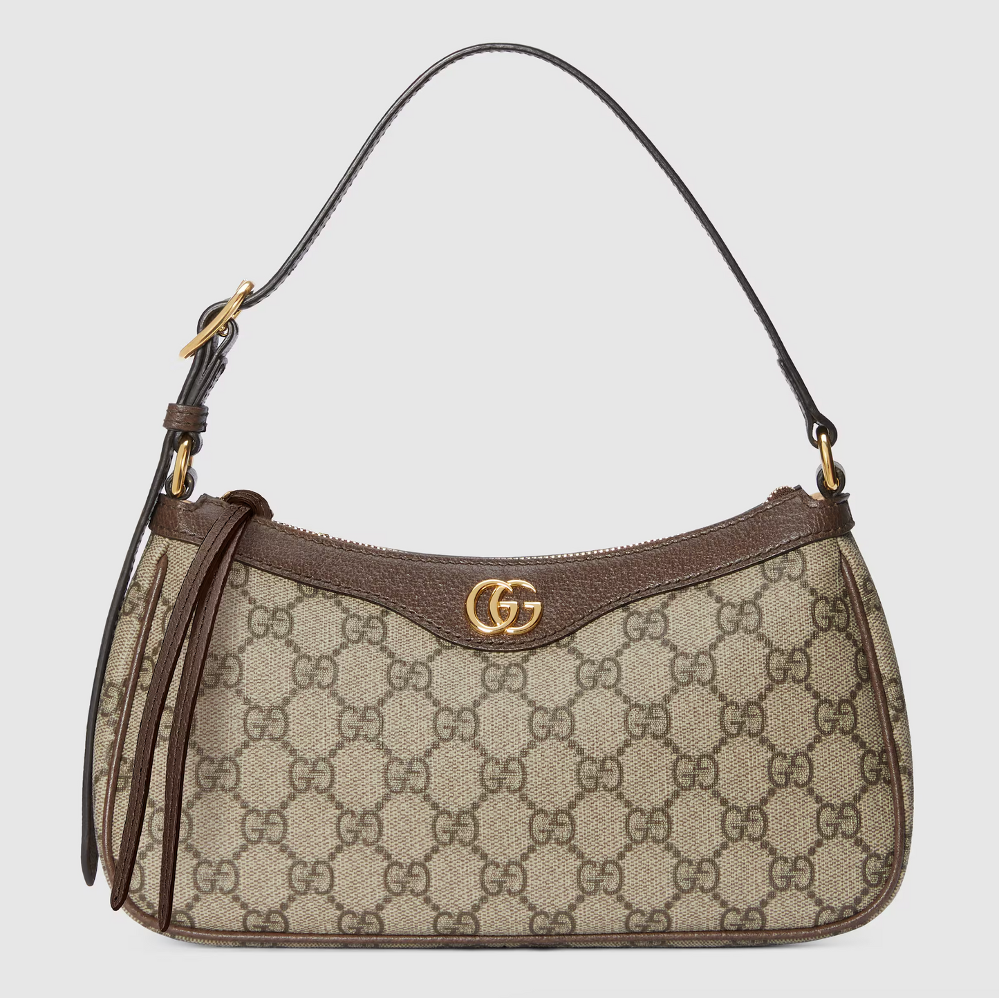 GUCCI Ophidia Bag.